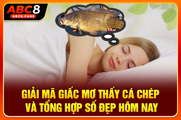 Giải Mã Giấc Mơ Thấy Cá Chép Và Tổng Hợp Số Đẹp Hôm Nay